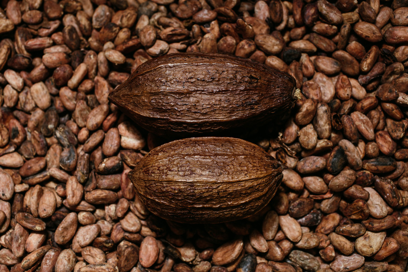 Fèves de cacao